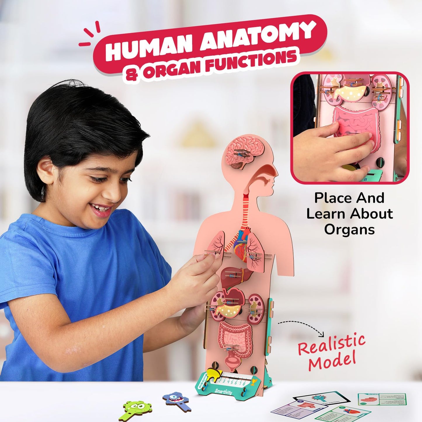 Smartivity Human Body Toy for Kids 6-12 Years|Body Organs & Functions|Birthday Gifts for Unisex|DIY Science Toys 6,7,8,9,10,11,12,13,14 Years Old I STEM Building Set Wooden Construction Game,79 Pcs