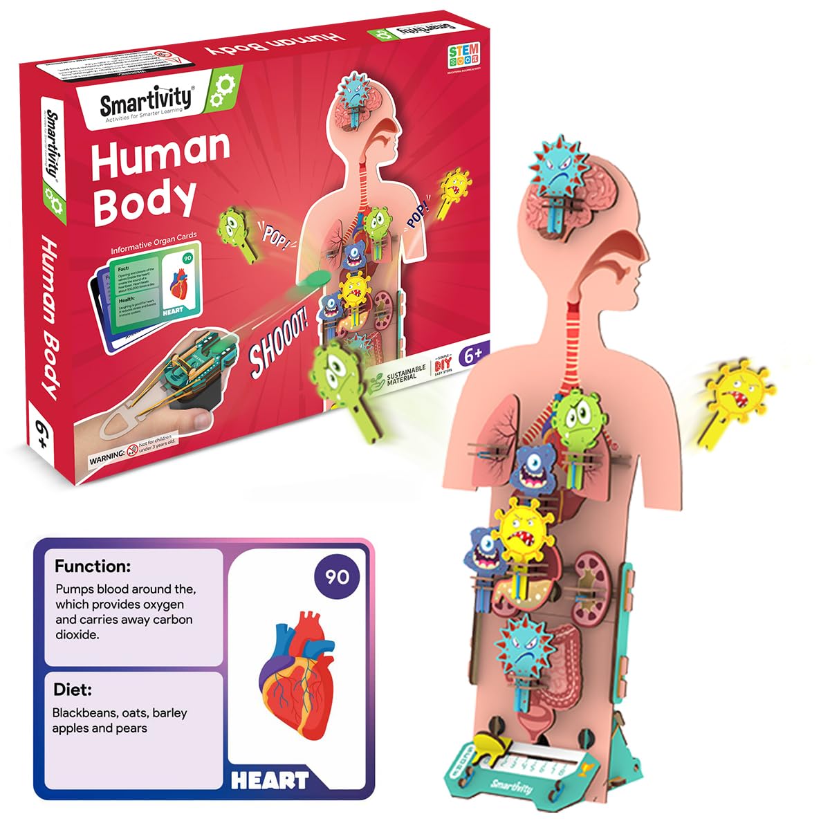 Smartivity Human Body Toy for Kids 6-12 Years|Body Organs & Functions|Birthday Gifts for Unisex|DIY Science Toys 6,7,8,9,10,11,12,13,14 Years Old I STEM Building Set Wooden Construction Game,79 Pcs